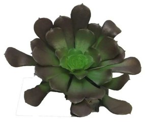 Supergreens Τεχνητό Χωνευτό Παχύφυτο Καφέ 10 εκ