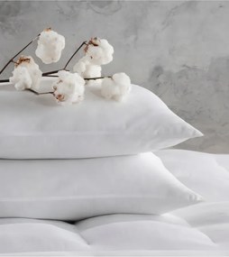Σετ 2 τεμαχίων μαξιλαριών από σιλικόνη nonwoven Λευκό 50x70 cm