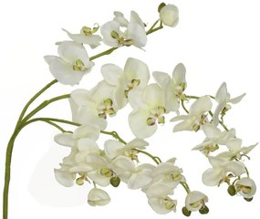 Λουλούδι CONCORAL 1.4m Orquidea Crema 1239060-E2