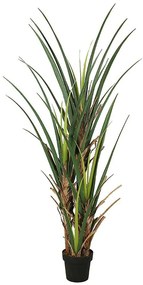 Τεχνητό Δέντρο Αγαύη 5280-6 70x180cm Green Supergreens Polyethylene
