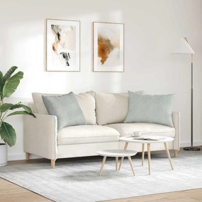 vidaXL Μαξιλάρι Καναπέ 2 pcs Ανοιχτό γκρι 70 x 50 cm