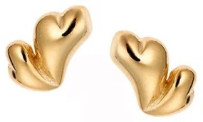 Σκουλαρίκια Senza Silver 925 Gold Plated
