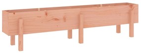 vidaXL Ζαρντινιέρα Υπερυψωμένη 160x30x38 εκ. Μασίφ Ξύλο Ψευδοτσούγκας