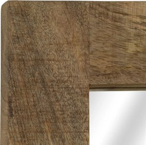vidaXL Καθρέφτης 50 x 80 εκ. από Μασίφ Ξύλο Μάνγκο