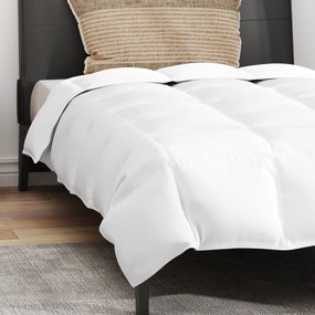 vidaXL Πάπλωμα Άλλο με μαξιλάρι 2 pcs Λευκό 140 x 200 cm Πούπουλο