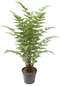 Τεχνητό Φυτό Φτέρη Maidenhair 0960-6 50x50x90cm Green Supergreens Polyethylene