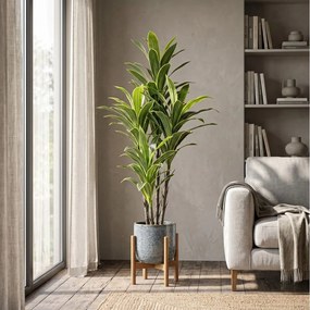 Τεχνητό Φυτό Εσωτερικού & Εξωτερικού Χώρου 210cm 80725