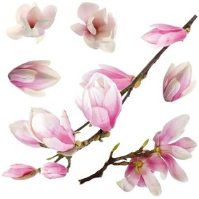 Διακοσμητικά αυτοκόλλητα τζαμιού Magnolia