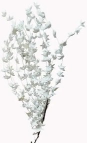 ART ET LUMIERE ΚΛΑΔΙ ΜΕ ΛΟΥΛΟΥΔΙΑ ΛΕΥΚΑ 10864
