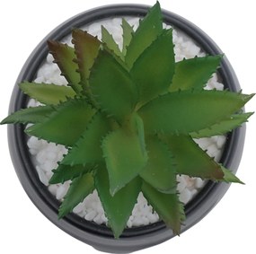 Τεχνητό Φυτό σε Μοντέρνο Κεραμικό Γλαστράκι 12x11x19cm