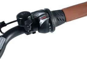 Ηλεκτρικό ποδήλατο Egoboo E-Bike Nostalgic Ride Black