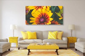 Εικόνα ελκυστικά δίχρωμα λουλούδια - 120x60
