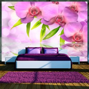 Φωτοταπετσαρία - Orchids in lilac colour 400x280