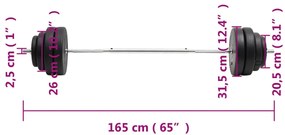 vidaXL Μπάρα με Δίσκους 60 Κιλών