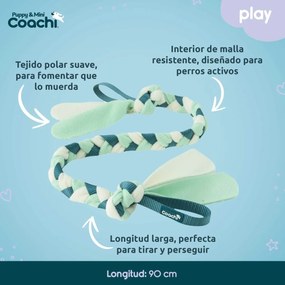Λουρί Σκύλου Coachi