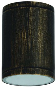Φωτιστικό Οροφής - Σποτ LG2302E27GB Φ12x17cm 1xE27 35W IP65 Black-Gold Aca Aluminium, Glass