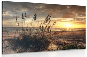 Εικόνα ηλιοβασίλεμα στην παραλία - 120x80