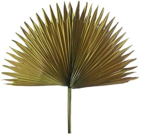 Τεχνητό Φύλλο Φοίνικας Serenoa 1081-7 35x35x60cm Green Supergreens Leather,Plastic