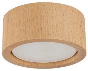 Σποτ Φωτιστικό Οροφής 1xGX53 Downlight Ξύλο Eve Wood TK Lighting-10123-Μπεζ 10123