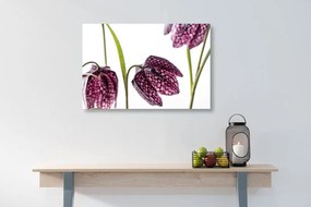 Εικόνα μωβ καρό λουλούδι - 90x60