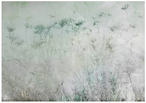Φυτά ταπετσαρίας φωτογραφιών το καλοκαίρι - 250x175
