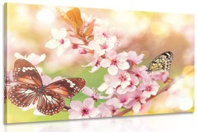 Εικόνα ανοιξιάτικα λουλούδια με εξωτικές πεταλούδες - 120x80