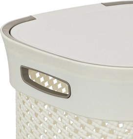 Καλάθι Απλύτων 60Lit (42x33x61) F-V Purl Lin 206738A