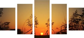 Λεπίδες γρασιδιού με 5 μέρη στο ηλιοβασίλεμα - 100x50