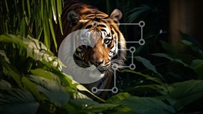 Σετ των 2 Intra Συλλεκτικό Ξύλινο Παζλ Plywood  4mm - Τίγρης στη ζούγκλα Σε Ξύλινο Κουτί - Διαστάσεις: 10x10 cm – 25 κομμάτια