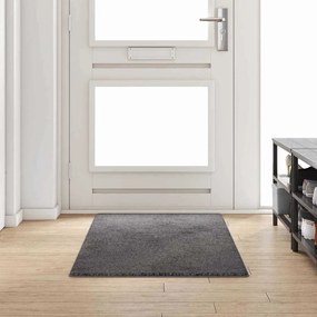 vidaXL Δερμάτινο Χαλί Γκρι 80 x 200 cm 100% Πολυπροπυλένιο Τούφτα