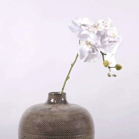 Τεχνητό Κλωνάρι Ορχιδέα Χιονισμένη 5220-7 80cm White Supergreens Polyethylene
