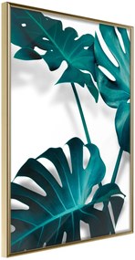 Αφίσα - Turquoise Monstera II - 20x30 - Χρυσό - Χωρίς πασπαρτού