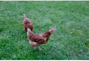 Φράχτη Kerbl Μαύρο 5 x 10 m