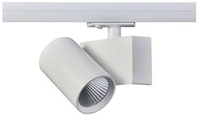 Σποτ Ράγας Μονοφασικό LED 20W 3000Κ Ρυθμιζόμενο Lisor Aca-LISOR2030W2N-Λευκό LISOR2030W2N