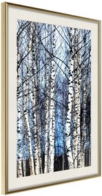 Αφίσα - Winter Birch Trees - 40x60 - Χρυσό - Με πασπαρτού