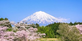 Εικόνα από τον Fuji