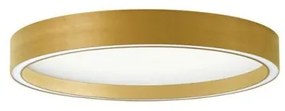 Πλαφονιέρα Φωτιστικό Οροφής LED 30W 3000K/4000K Φ40 Vanessa Viokef 4292701 Χρυσό