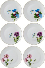 Service Plate Set (6 Pieces) DNR0066 Multicolor