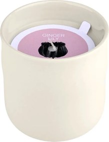 Κερί Αρωματικό 289gr Estia Ginger Lily 04-36508