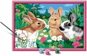 Σετ Ζωγραφικής Ravensburger Creart