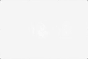 vidaXL Σαφής μουσαμάς με οπές 2x3 m PVC