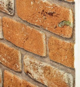 vidaXL Πάνελ τοίχου 10 pcs Τούβλο 100 x 50 cm Αφρός EPS