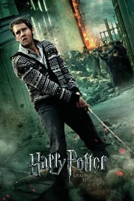 Εικονογράφηση Harry Potter - Neville Longbottom