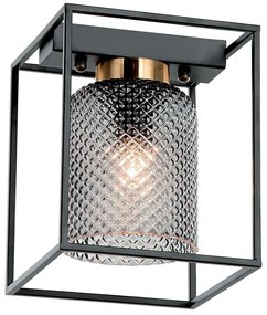Φωτιστικό Οροφής - Πλαφονιέρα Zac 4246900 E27 Fume Viokef Metal, Glass