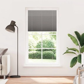 VidaXL Πλισέ περσίδα Ανθρακί 110x200 cm Πλάτος υφάσματος 109,4 cm