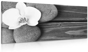 Εικόνα με πέτρες σπα και ορχιδέα σε ξύλινο φόντο σε ασπρόμαυρο σχέδιο