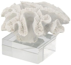Διακοσμητικό Κοράλλι 70301 22,9x21,6x16cm White Artekko Ρητίνη