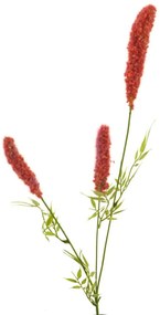 Τεχνητό Κλαδί Βούρλο 8012-7 62cm Red Supergreens Πολυαιθυλένιο
