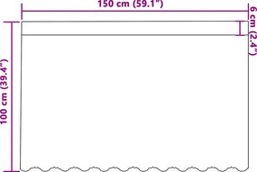 vidaXL Κουρτίνα Δαντέλας με κουρτίνες Λευκό 100 x 150 cm Πολυεστέρας