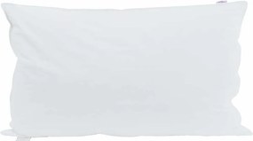 vidaXL Μαξιλάρι με μαξιλάρι 2 pcs Λευκό 40 x 80 cm Φτερό